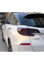 Chameleon White Turn Gold (Matte) YB027 - Image 4