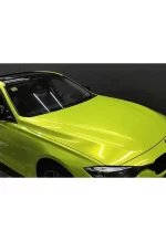 Coral Fluorescence Yellow YB061 - Image 6