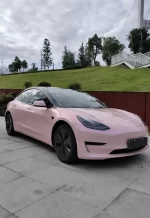 Coral Rouge Pink YB064 - Image 3