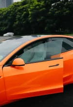 Coral Sunshine Orange YB063 - Image 5