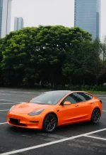 Coral Sunshine Orange YB063 - Image 4