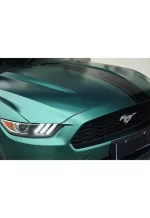 Electro-Optic Emerald Green YB091 - Image 6