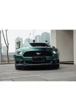 Electro-Optic Emerald Green YB091 - Image 4