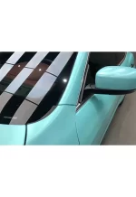 Electro-Optic Tiffany YB099 - Image 7