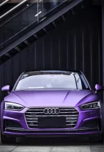 Heavy Metal Violets YB052 - Image 4