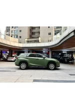 New Satin Armor Green YB014 - Image 5