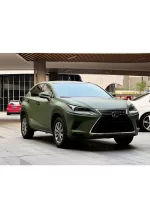 New Satin Armor Green YB014 - Image 3