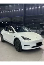 Pearl White Turns Gold YB116 - Image 6