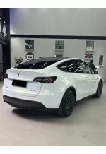 Pearl White Turns Gold YB116 - Image 5