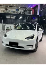 Pearl White Turns Gold YB116 - Image 7