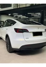 Pearl White Turns Gold YB116 - Image 4