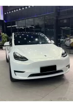 Pearl White Turns Gold YB116 - Image 3