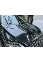 Pearlescent Black YB079 - Image 5