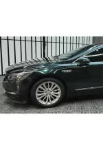 Pearlescent Blackish Green YB076 - Image 8