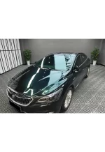 Pearlescent Blackish Green YB076 - Image 7