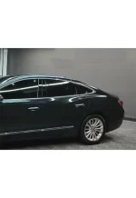 Pearlescent Blackish Green YB076 - Image 5