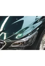 Pearlescent Blackish Green YB076 - Image 4