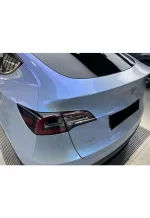 Pet Coral Grey Charm Blue1 YB062