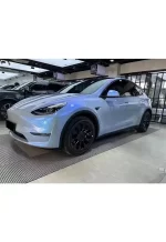 Pet Coral Grey Charm Blue1 YB062