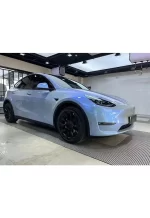 Pet Coral Grey Charm Blue1 YB062