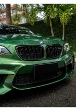 Super Bright Metallic Sonoma Green YA013 - Image 6