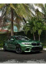 Super Bright Metallic Sonoma Green YA013 - Image 3