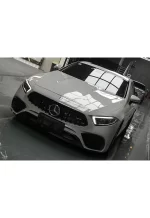 Crystal Nardo Gray1 YA061