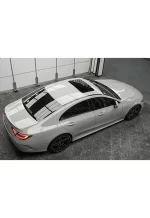 Crystal Nardo Gray2 YA061