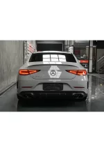 Crystal Nardo Gray3 YA061