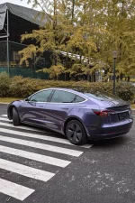 Gray Violet YA114 - Image 6