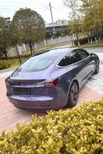 Gray Violet YA114 - Image 7