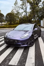 Gray Violet YA114 - Image 3