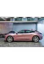 Passion Pink YA091 - Image 8